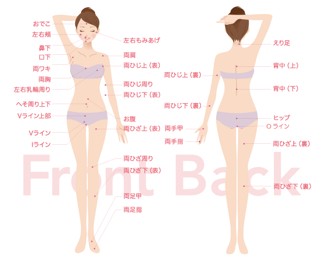 C3シースリー八戸店は全身53ヶ所脱毛